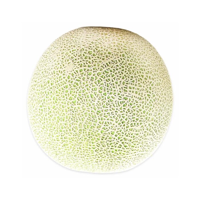 Cantaloupe Melon ($4 Each) - Image 2