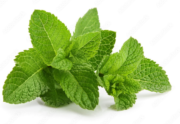 Mint Leaves Bunch ($5 For 3 Bunches)