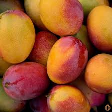 Mango tree ripe (5lbs for $20)