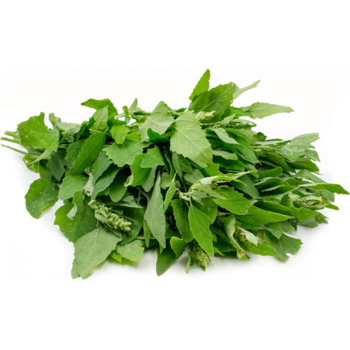 Bathua Leaf ($3.50 Bunch)