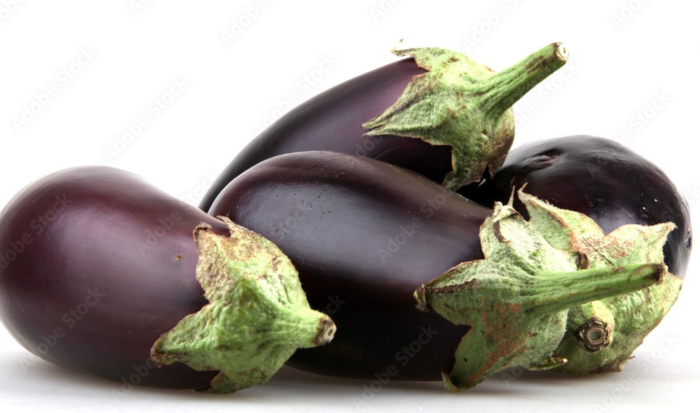 American Eggplant