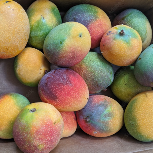 Mango Tree Ripe ($6 Per Lb)