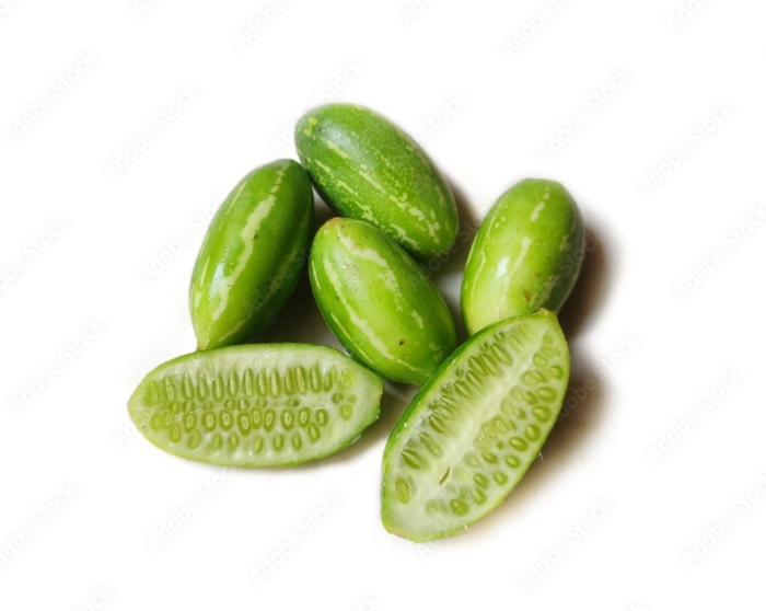 Tindora ($5 Bag 1Lb In Bag)
