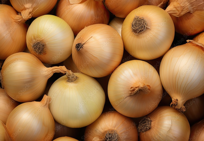 Yellow onions ($5 Bag 5 Lbs In Bag)
