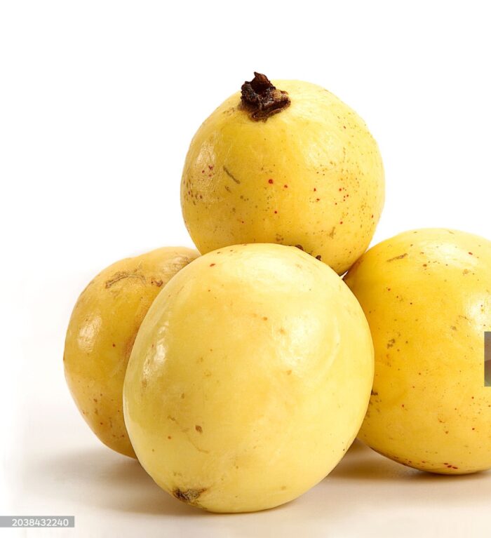 Mexican Guava ($5 Per LB)