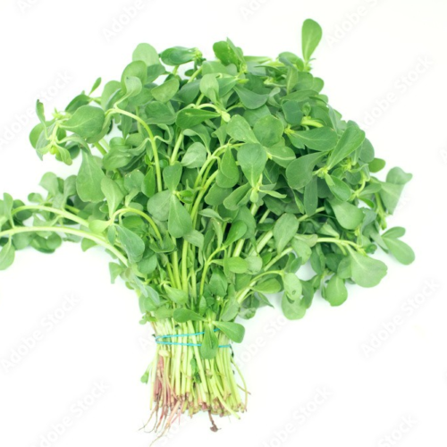 Purslane/Verdolagas ($5 Bag 5 Bunches In The Bag)