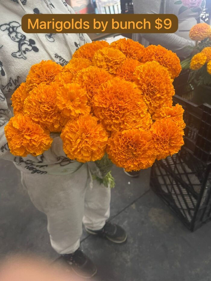 Marigolds ($8 Per Bunch)