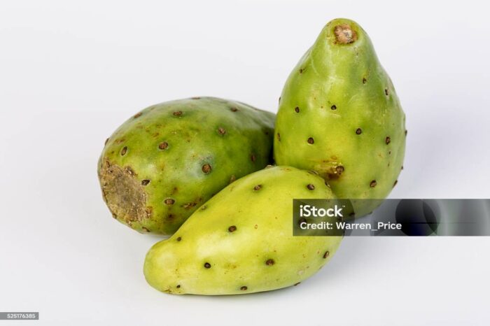 Prickly Pear Green/ Tuna Verde ($2 Per Lb)