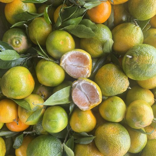 Satsuma Tangerines ($5 Bag 2.50 lbs In Bag) easy to peel