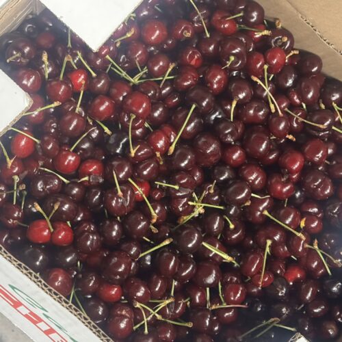 Cherries(from chile )($10 Bag 2.5Lbs In Bag)