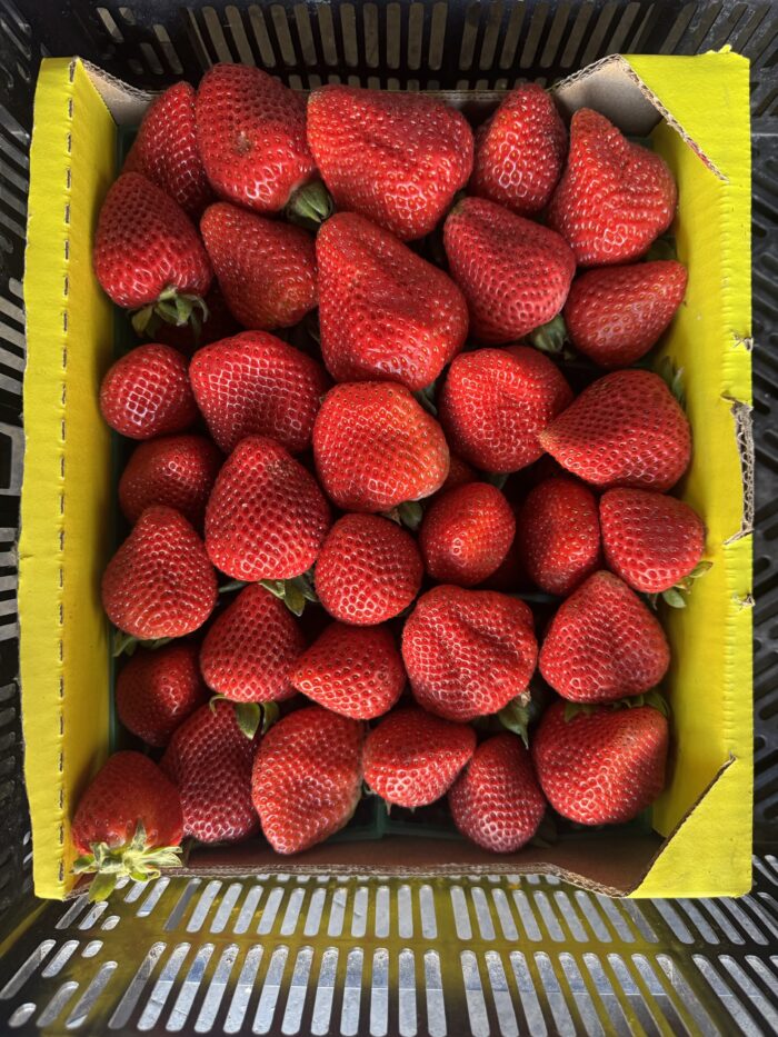 Strawberry Half box