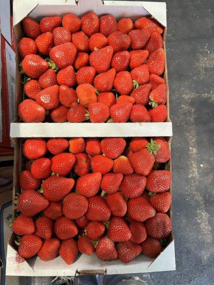 Whole strawberry box $28