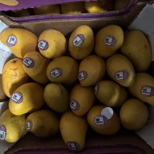 Champagne mangoes(Small size) ($15 Box 18 Count In Box)