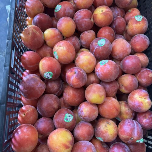 Ruby Plums ($2.50 Per Lb)