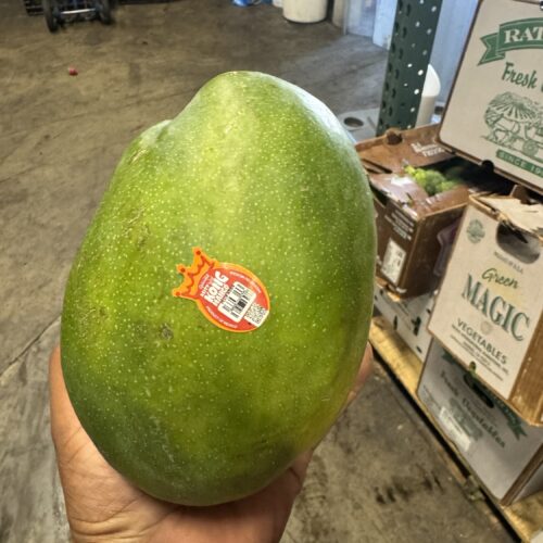 Keitt mango (jumbo size)