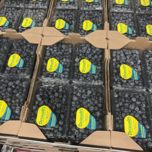 Blueberry from ($4 per basket)