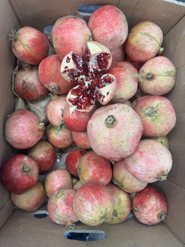 Pomagranates local (3 count for $5)
