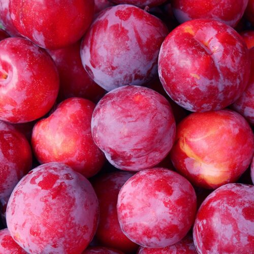 Plums Red ($4 Per LB)