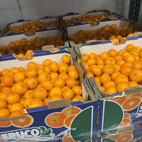 Mandarins cutties ($5 bag 4 lbs in bag)