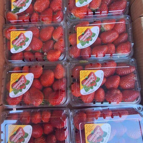 Strawberries clamshell ($6 each)