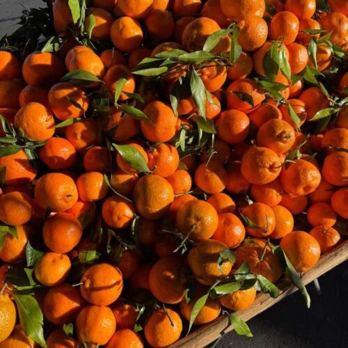 Daisy Tangarines ($5 bag 2.50 lbs in bag)