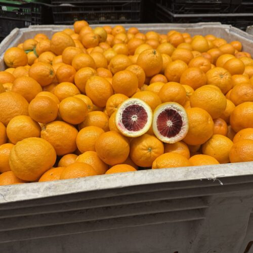 Blood orange ($5 bag 5 lbs in bag)