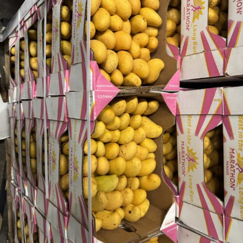 Baby yellow mango $5 per pound