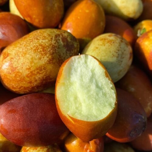 Honey long jujube $6 per pound