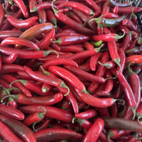 Red Serano peppers $2 per pound